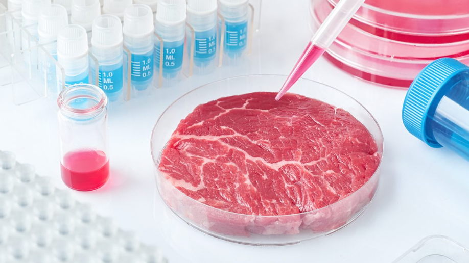 Nuevas tecnologías buscan extender la vida útil sin comprometer la calidad de los alimentos Revista Industria Alimentaria Nuevas tecnologías buscan extender la vida útil sin comprometer la calidad de los alimentos Revista Industria Alimentaria